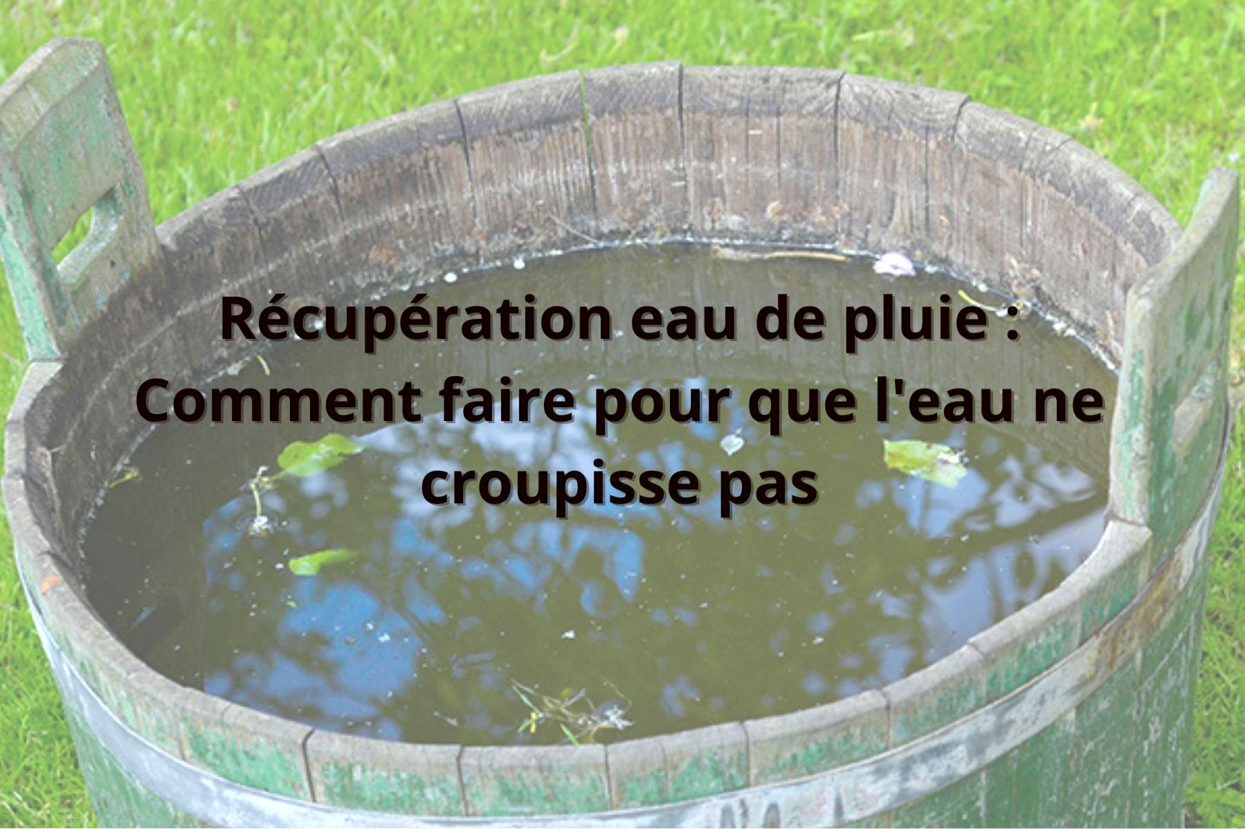 https://www.sageau.fr/wp-content/uploads/2023/07/eau-croupie-recuperateur-1.jpg