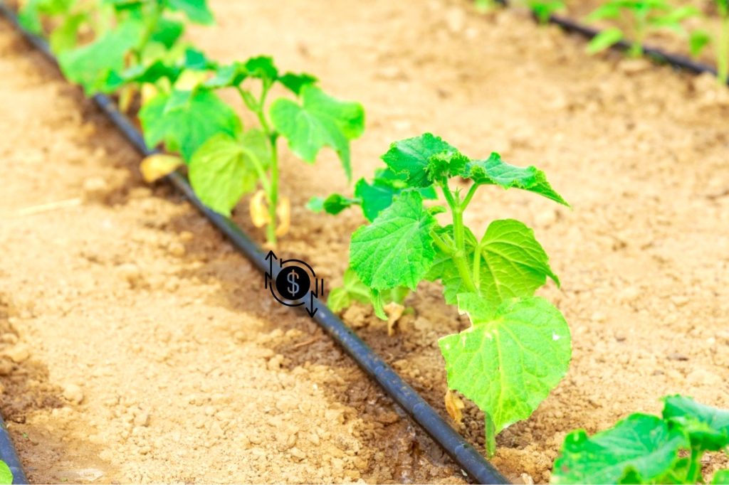 goutte à goutte pour faire des économies d'arrosage